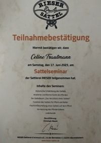 Sattelseminar