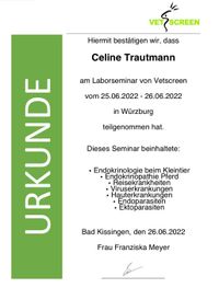 Urkunde 1